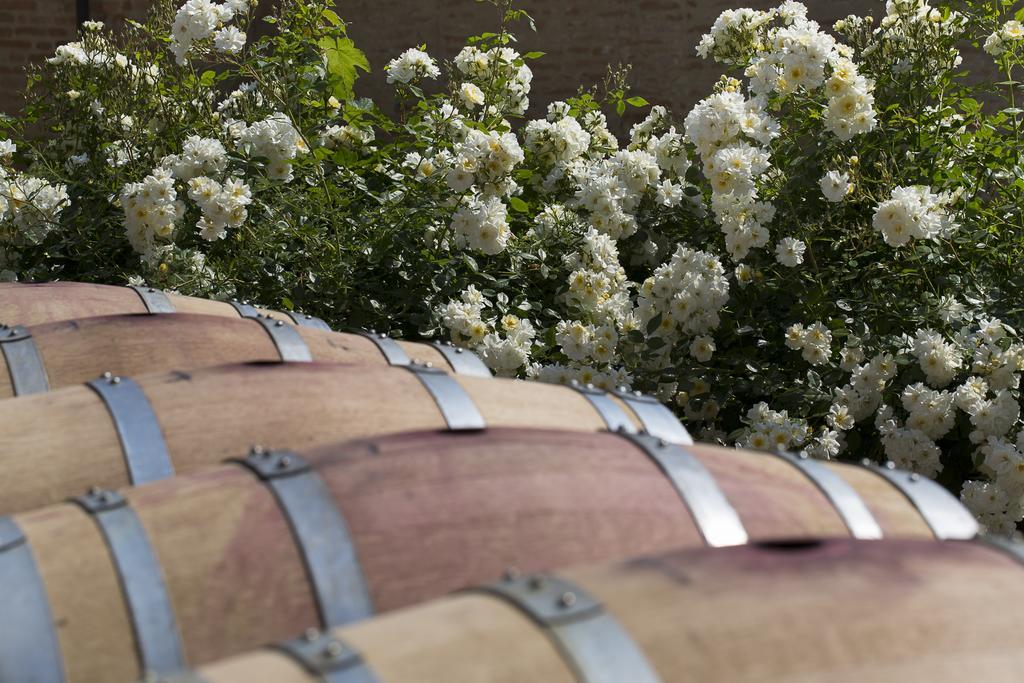 Marchesi Alfieri - Cantine E Ospitalita San Martino Alfieri Exterior foto